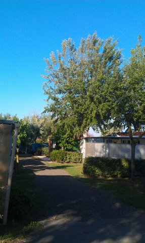 Allée F (gauche)